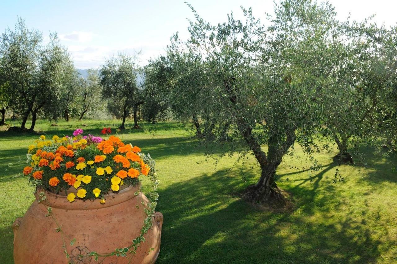 Agriturismo Bellosguardo Reggello Exterior photo